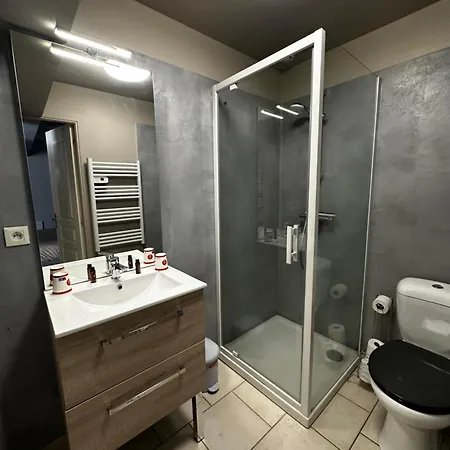 L'aster, Avec Acces Piscine Et Jacuzzi Apartment *