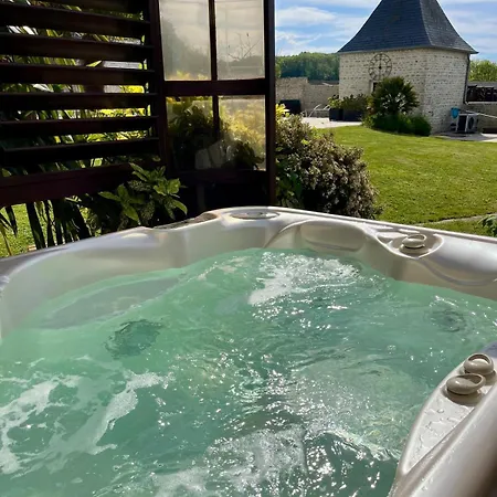 L'aster, Avec Acces Piscine Et Jacuzzi