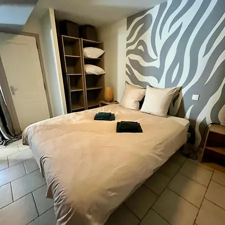 Apartament L'aster, Avec Acces Piscine Et Jacuzzi