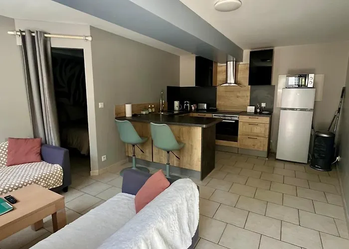 L'aster, Avec Acces Piscine Et Jacuzzi *