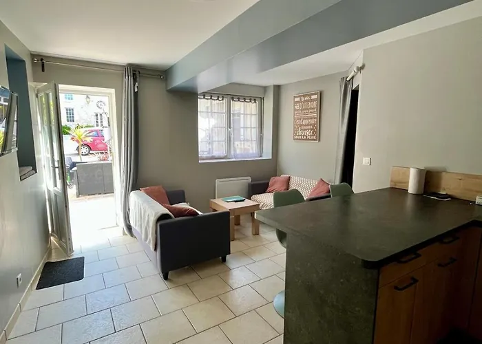 L'aster, Avec Acces Piscine Et Jacuzzi Apartment