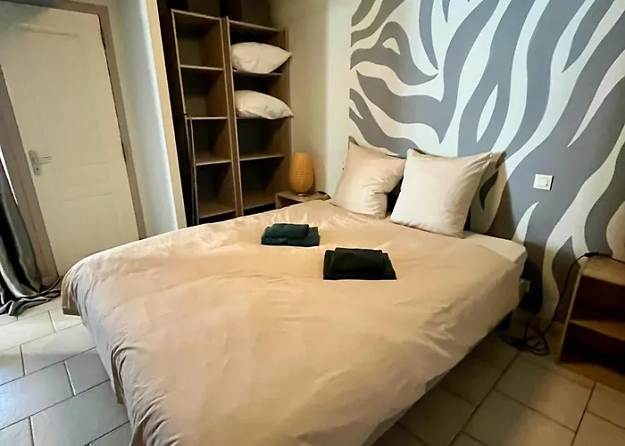 Apartment L'aster, Avec Acces Piscine Et Jacuzzi